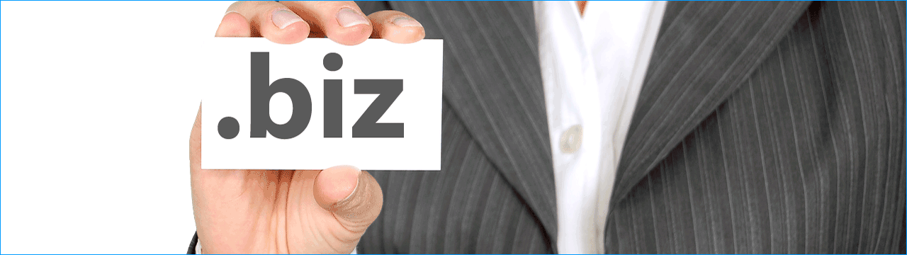 зона biz